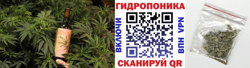 купить наркотики цена  Кузнецк  гидра зеркало  Печенье с ТГК конопля 