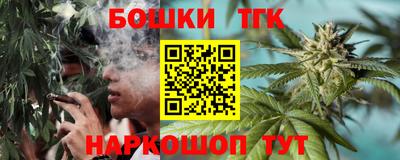 крисы Ирбит