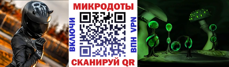 купить наркотики сайты  Кузнецк  Псилоцибиновые грибы Cubensis 