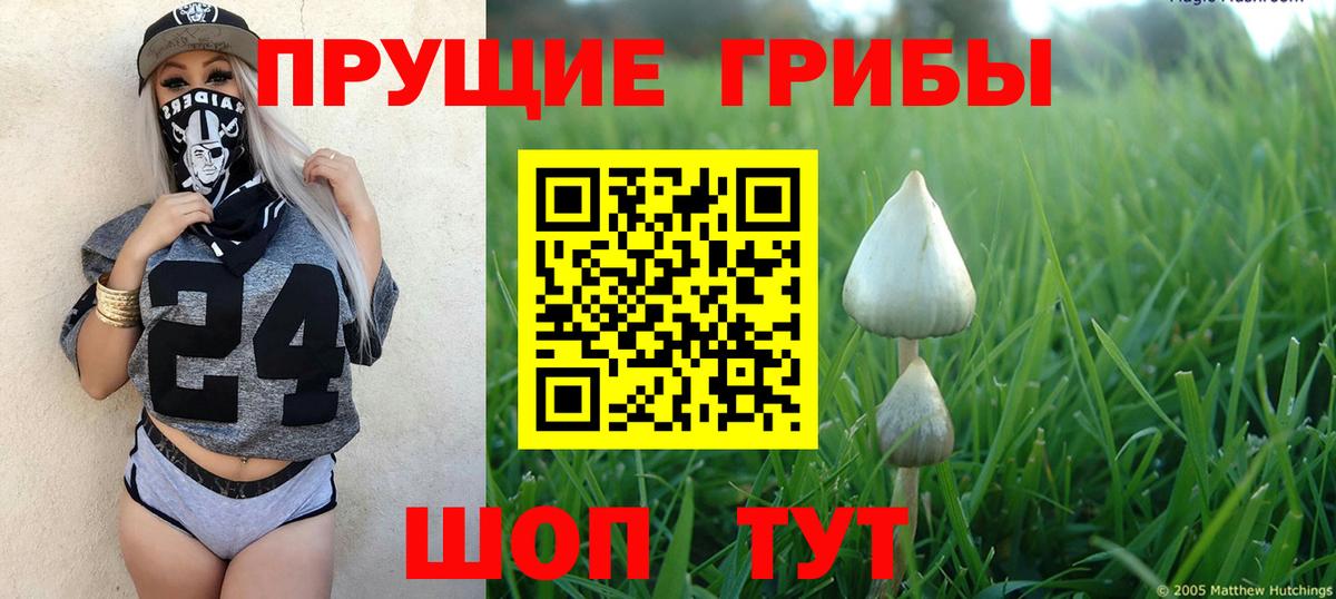 Кузнецк  Псилоцибиновые грибы Magic Shrooms  Галлюциногенные грибы Cubensis  Вход с VPN 